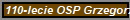 110-lecie OSP Grzegorz
